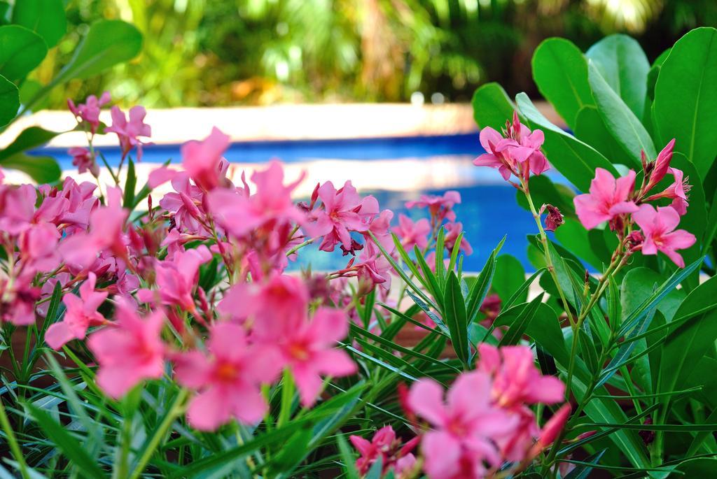 La Pasion Colonial Hotel Boutique By Bunik Playa del Carmen Zimmer foto